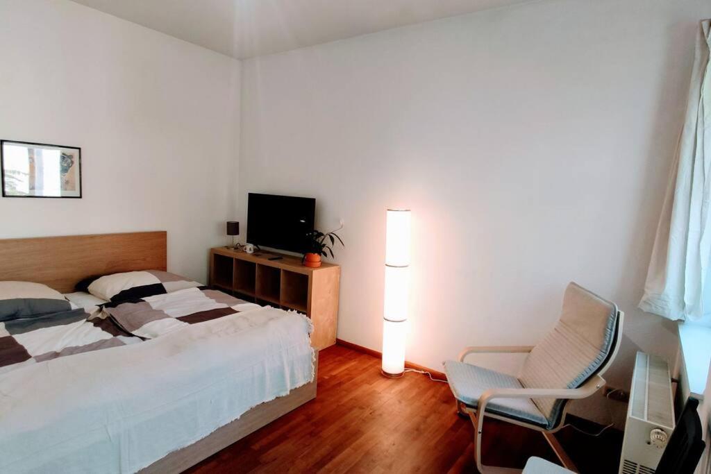 Modern Studio08 With Big Balcony In The Neustadt Dresde Exterior foto